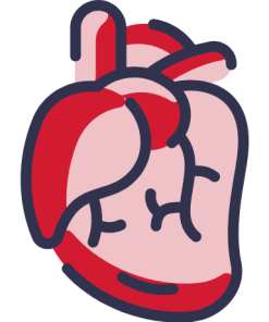 Heart Disease