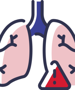 Respiratory Tract
