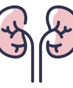 Urinary Tract