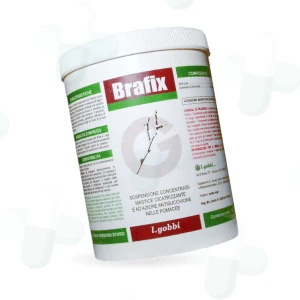 Brafix