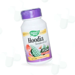 Hoodia